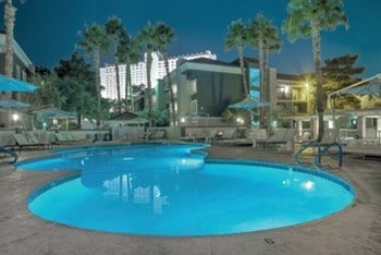 Hotel pool lit up at night. Palm Trees are seen behind the pool.
