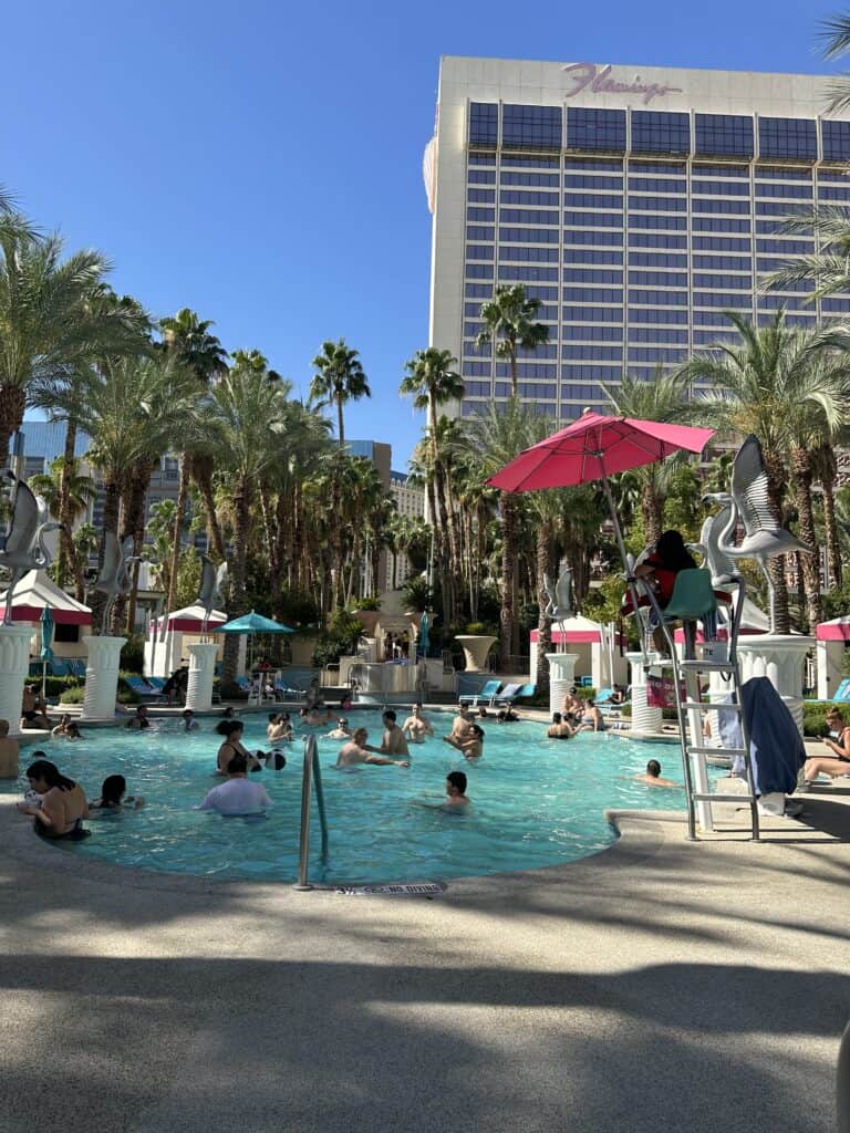 Go Pool at Flaming Las Vegas