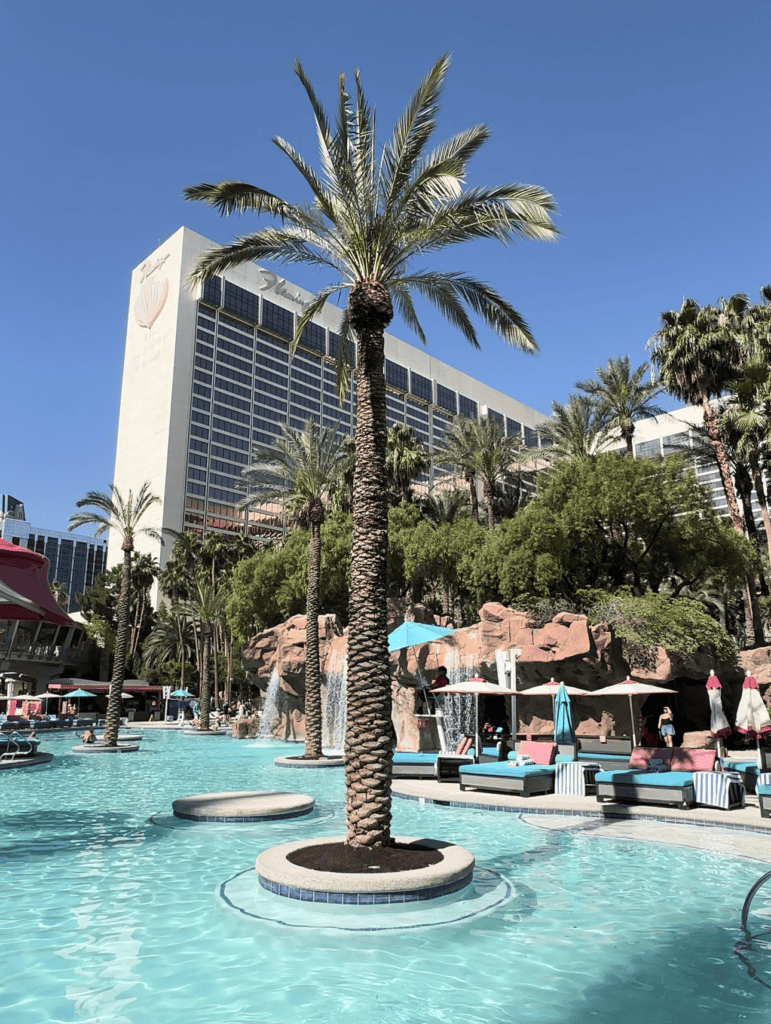 Adult pool showing a large palm tree in front with the pool and hotel building in the rear.