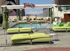 Read more about the article Plaza Hotel Pool: Hours and Best Pool Drink Prices