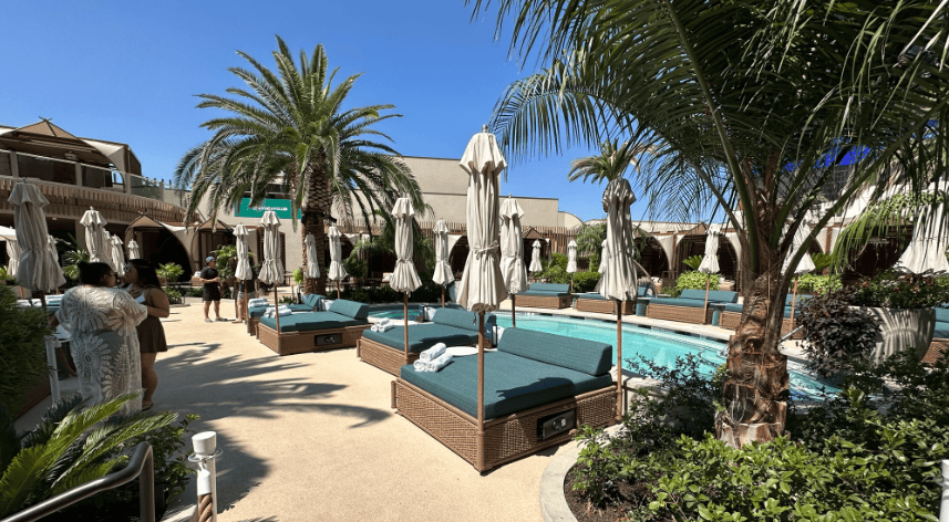 Daybeds are in front of  the pool at Ayu Beachclub. Medium sized palm trees have been placed around the pool deck.