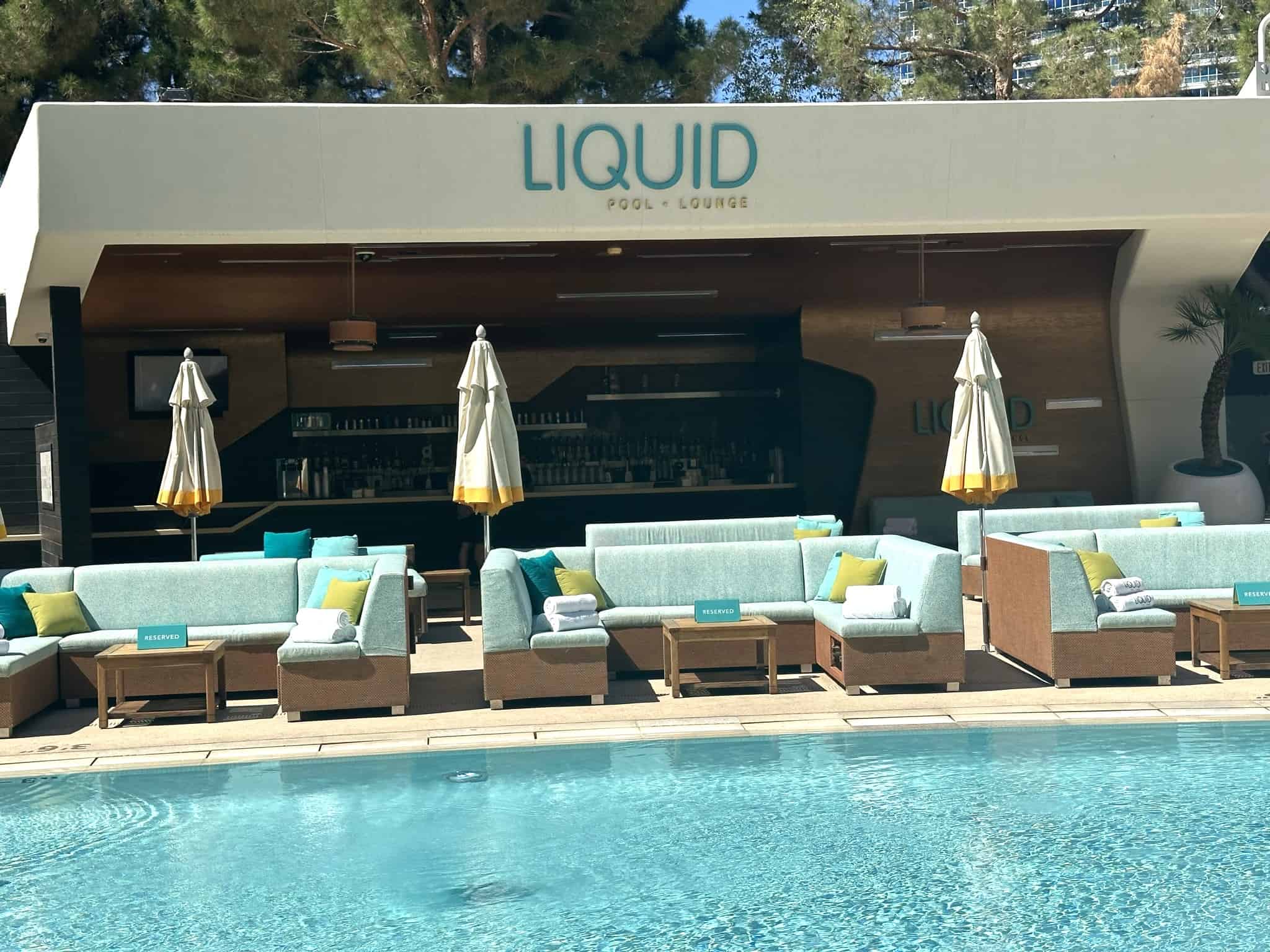 Read more about the article Liquid Pool Lounge: 2024 Prices and Helpful Tips